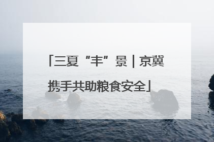 三夏“丰”景｜京冀携手共助粮食安全