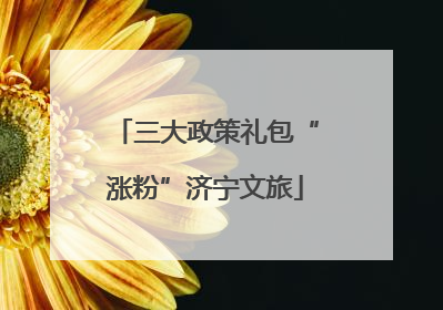 三大政策礼包“涨粉”济宁文旅