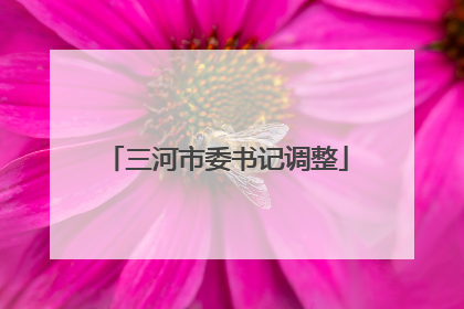 三河市委书记调整