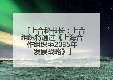上合秘书长：上合组织将通过《上海合作组织至2035年发展战略》
