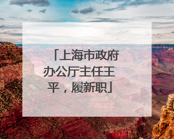 上海市政府办公厅主任王平，履新职