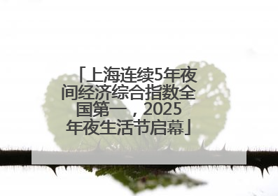 上海连续5年夜间经济综合指数全国第一，2025年夜生活节启幕