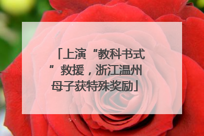 上演“教科书式”救援，浙江温州母子获特殊奖励