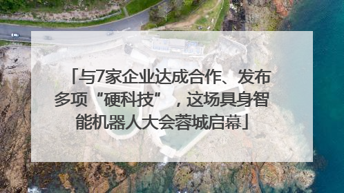 与7家企业达成合作、发布多项“硬科技”，这场具身智能机器人大会蓉城启幕