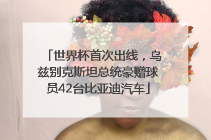 世界杯首次出线，乌兹别克斯坦总统豪赠球员42台比亚迪汽车