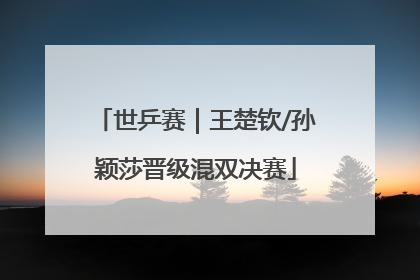 世乒赛｜王楚钦/孙颖莎晋级混双决赛