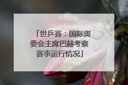 世乒赛：国际奥委会主席巴赫考察赛事运行情况