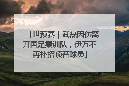 世预赛｜武磊因伤离开国足集训队，伊万不再补招顶替球员