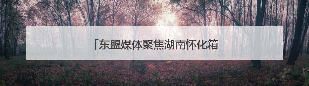 东盟媒体聚焦湖南怀化箱包产业 产品畅销亚欧美