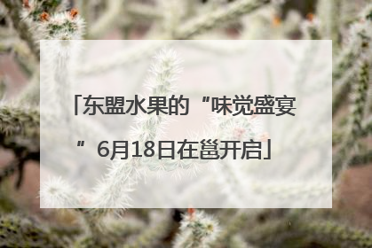 东盟水果的“味觉盛宴”6月18日在邕开启