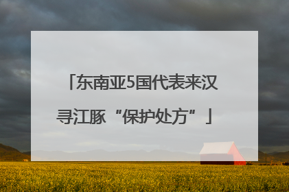 东南亚5国代表来汉寻江豚“保护处方”