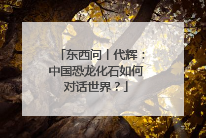 东西问丨代辉：中国恐龙化石如何对话世界？