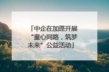中企在加蓬开展“童心同路，筑梦未来”公益活动