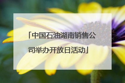 中国石油湖南销售公司举办开放日活动