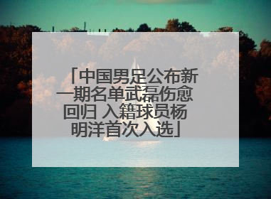 中国男足公布新一期名单武磊伤愈回归 入籍球员杨明洋首次入选