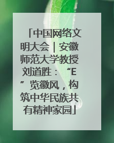 中国网络文明大会｜安徽师范大学教授刘道胜：“E”览徽风，构筑中华民族共有精神家园