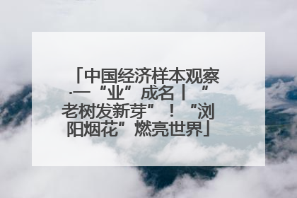 中国经济样本观察·一“业”成名丨“老树发新芽”！“浏阳烟花”燃亮世界