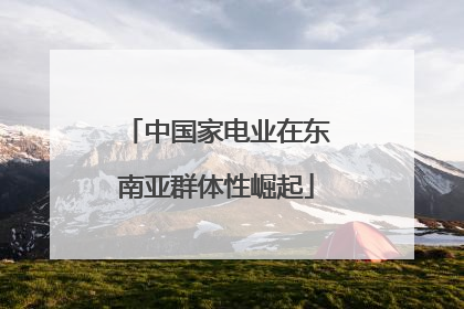 中国家电业在东南亚群体性崛起