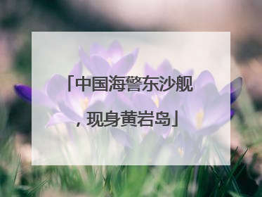 中国海警东沙舰，现身黄岩岛