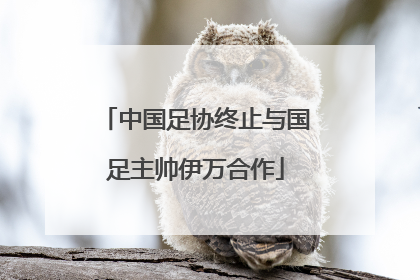 中国足协终止与国足主帅伊万合作