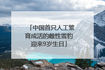 中国首只人工繁育成活的雌性雪豹迎来9岁生日