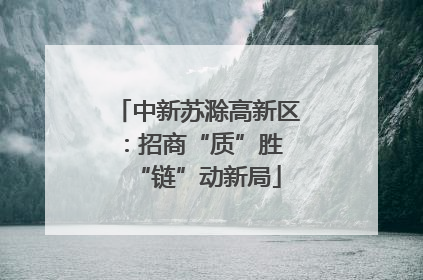 中新苏滁高新区：招商“质”胜 “链”动新局