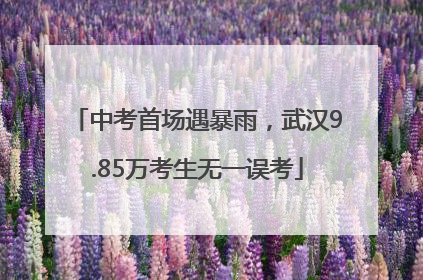 中考首场遇暴雨，武汉9.85万考生无一误考