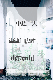 中超：天津津门虎胜山东泰山
