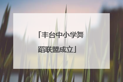 丰台中小学舞蹈联盟成立