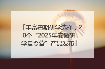 丰富暑期研学选择，20个“2025年安徽研学夏令营”产品发布