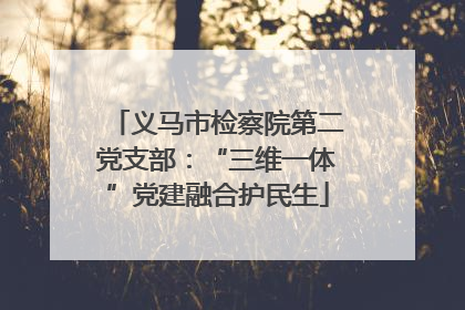 义马市检察院第二党支部：“三维一体”党建融合护民生