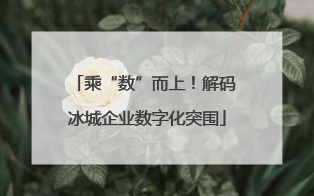 乘“数”而上！解码冰城企业数字化突围