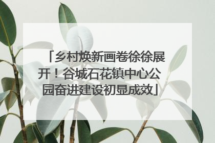 乡村焕新画卷徐徐展开！谷城石花镇中心公园奋进建设初显成效