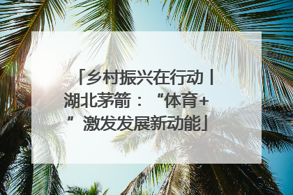 乡村振兴在行动丨湖北茅箭：“体育+”激发发展新动能