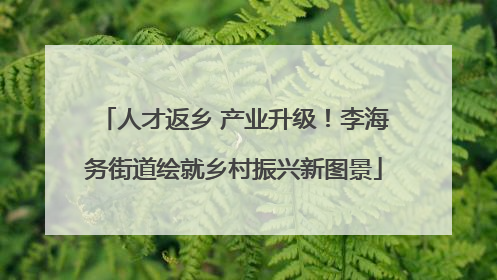 人才返乡 产业升级！李海务街道绘就乡村振兴新图景