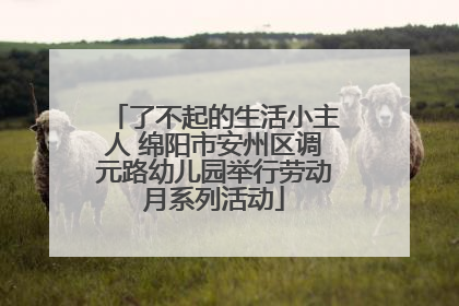 了不起的生活小主人 绵阳市安州区调元路幼儿园举行劳动月系列活动