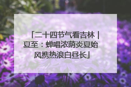 二十四节气看吉林｜夏至：蝉唱浓荫炎夏始 风携热浪白昼长