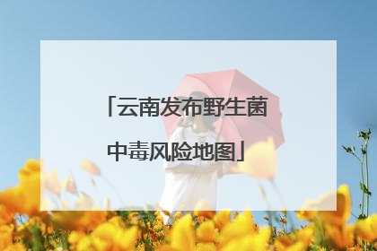 云南发布野生菌中毒风险地图