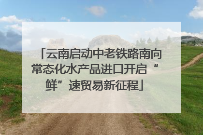 云南启动中老铁路南向常态化水产品进口开启“鲜”速贸易新征程