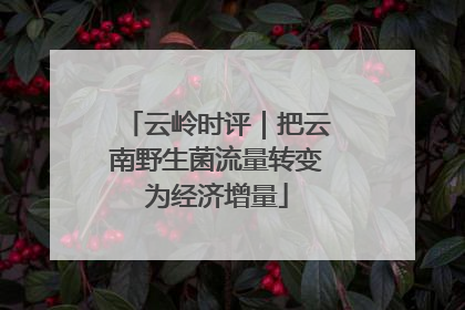 云岭时评｜把云南野生菌流量转变为经济增量