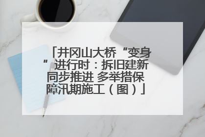 井冈山大桥“变身”进行时：拆旧建新同步推进 多举措保障汛期施工（图）