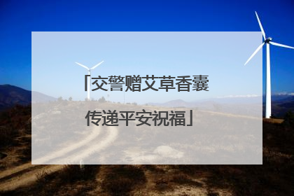交警赠艾草香囊 传递平安祝福