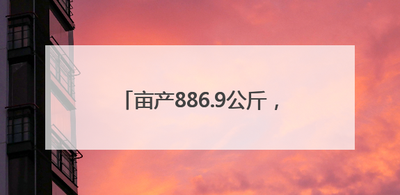 亩产886.9公斤，再创新高！6月25日，青岛夏收夏种全部结束