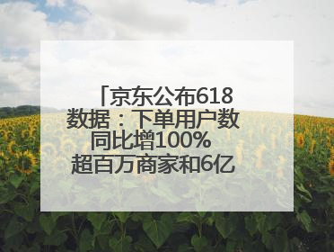 京东公布618数据：下单用户数同比增100% 超百万商家和6亿消费者受益AI