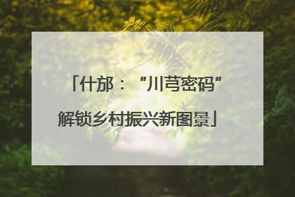什邡：“川芎密码”解锁乡村振兴新图景