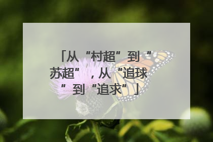 从“村超”到“苏超”，从“追球”到“追求”