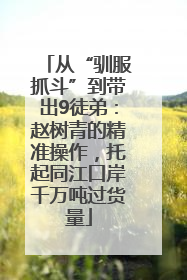 从“驯服抓斗”到带出9徒弟：赵树青的精准操作，托起同江口岸千万吨过货量