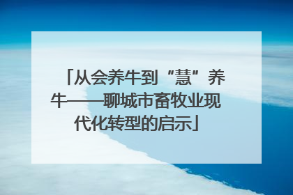 从会养牛到“慧”养牛——聊城市畜牧业现代化转型的启示