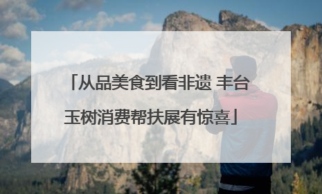 从品美食到看非遗 丰台玉树消费帮扶展有惊喜