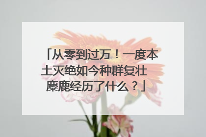 从零到过万！一度本土灭绝如今种群复壮 麋鹿经历了什么？